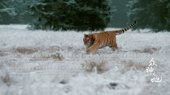 IMG_7440.GIF
