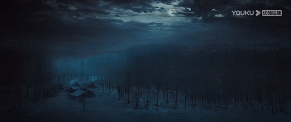 IMG_8505.GIF