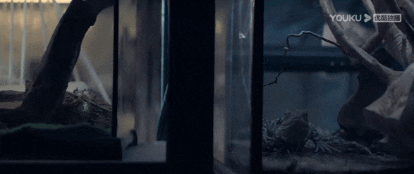 IMG_8522.GIF