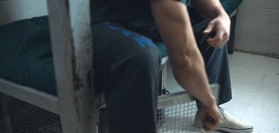 IMG_8546.GIF
