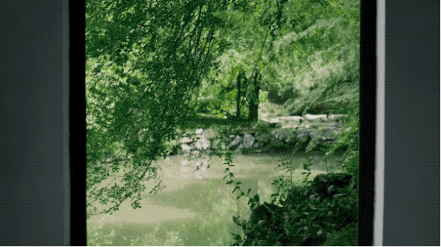 IMG_2285.GIF