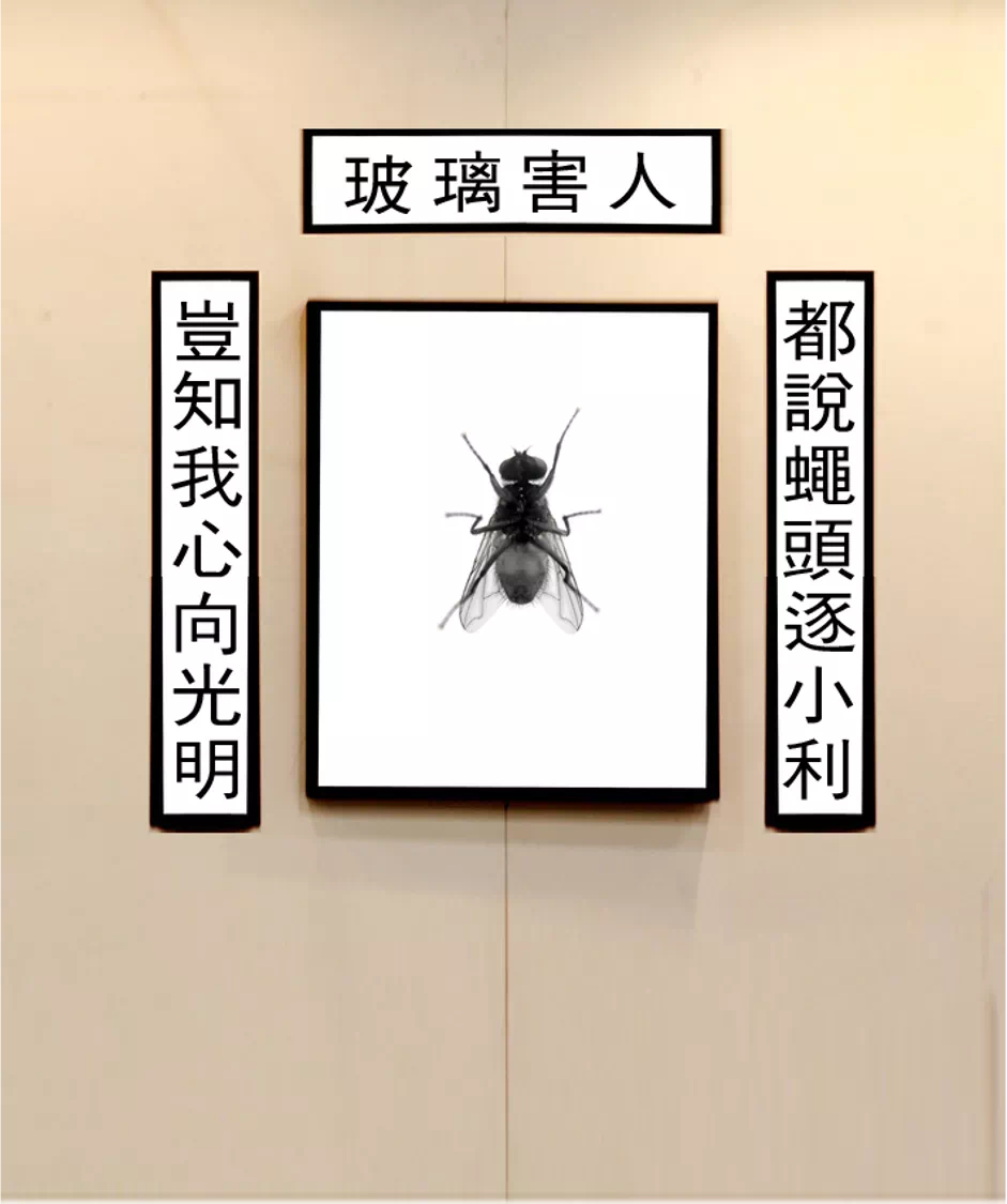 IMG_5031.PNG