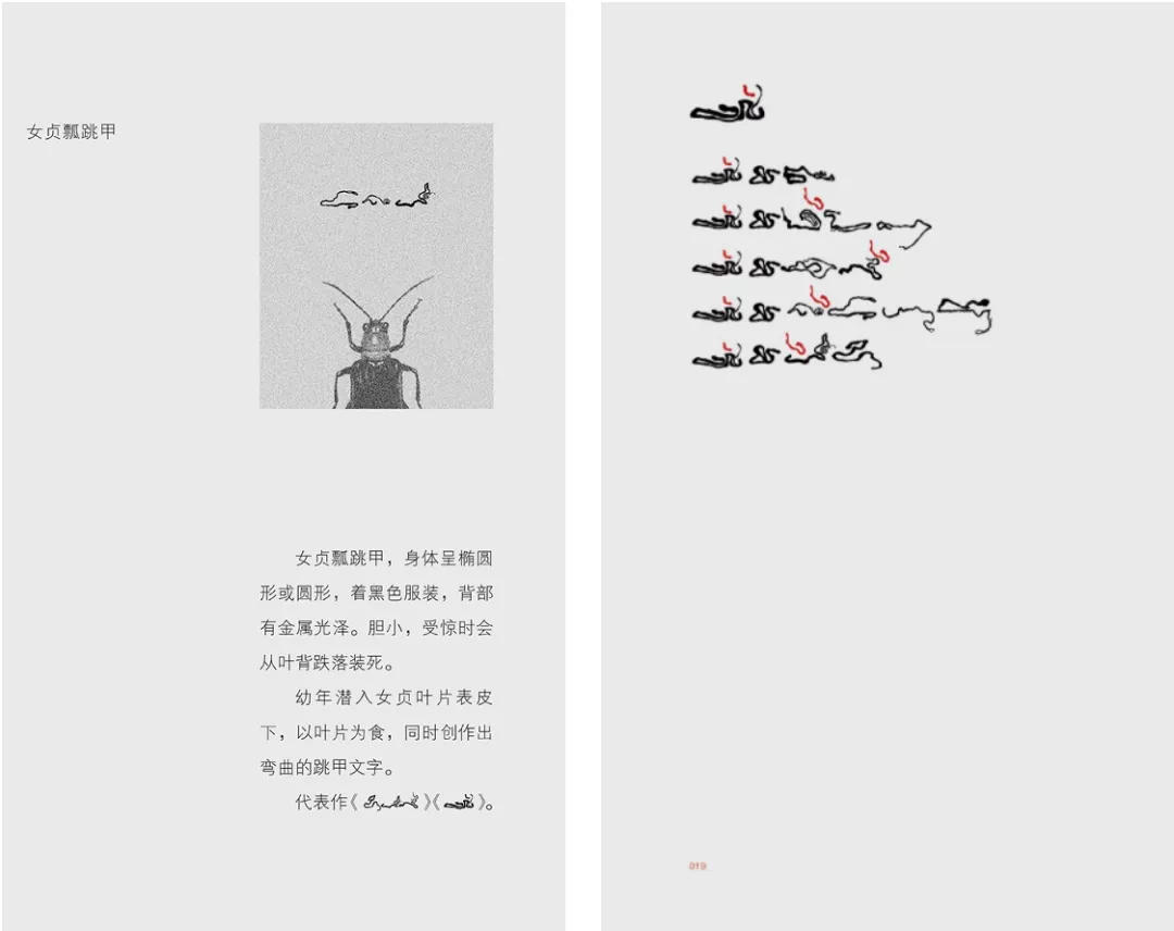 IMG_5097.PNG