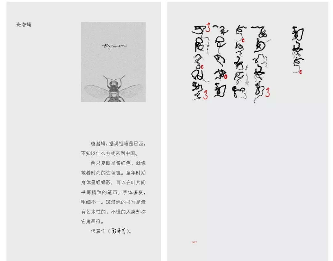 IMG_5100.PNG