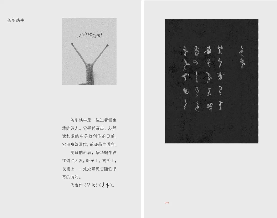 IMG_5099.PNG
