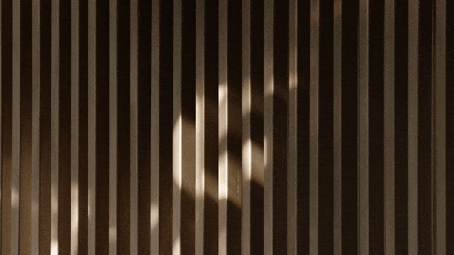 IMG_6653.GIF