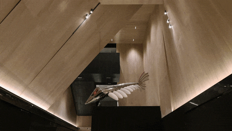 IMG_6675.GIF