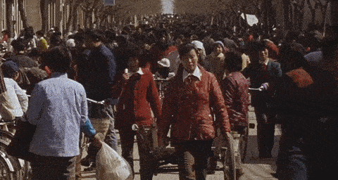 IMG_6570.GIF