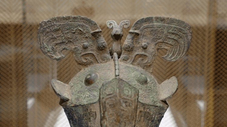 IMG_3149.GIF