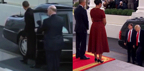 IMG_1959.GIF