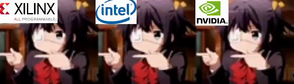 IMG_1060.GIF