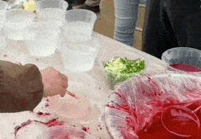 IMG_3181.GIF