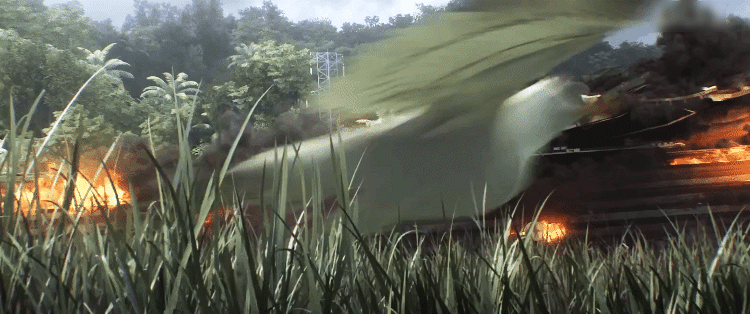 IMG_3805.GIF