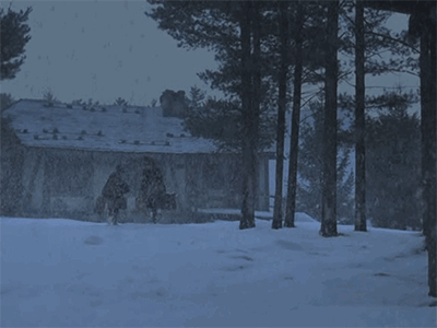 IMG_3907.GIF