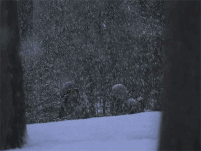 IMG_3913.GIF