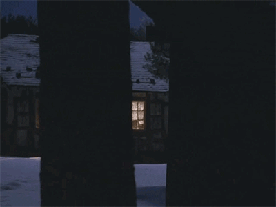 IMG_3917.GIF