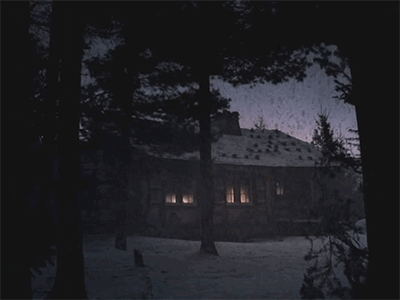 IMG_3946.GIF