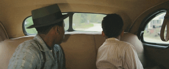 IMG_3954.GIF