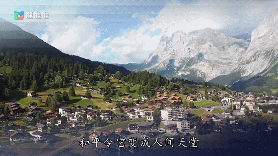 IMG_3992.GIF