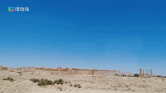 IMG_4012.GIF