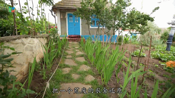 IMG_4019.GIF