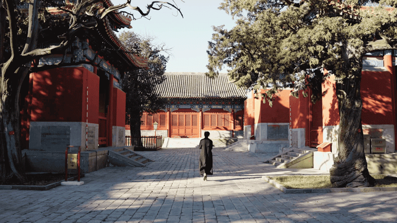 IMG_4492.GIF
