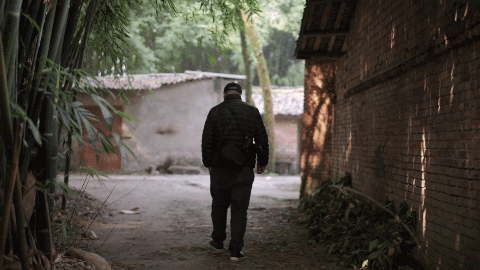 IMG_3059.GIF