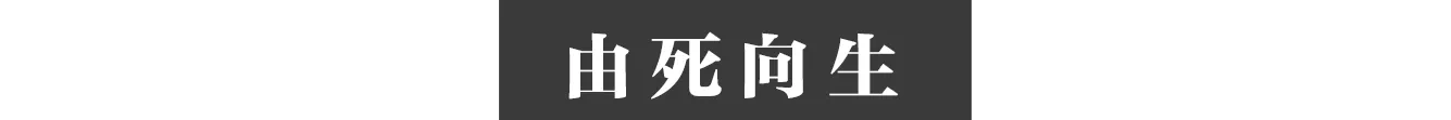 IMG_7567.PNG
