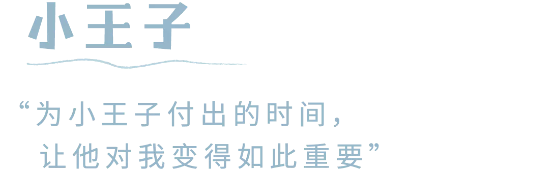 IMG_7721.PNG