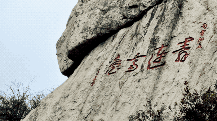 IMG_8658.GIF