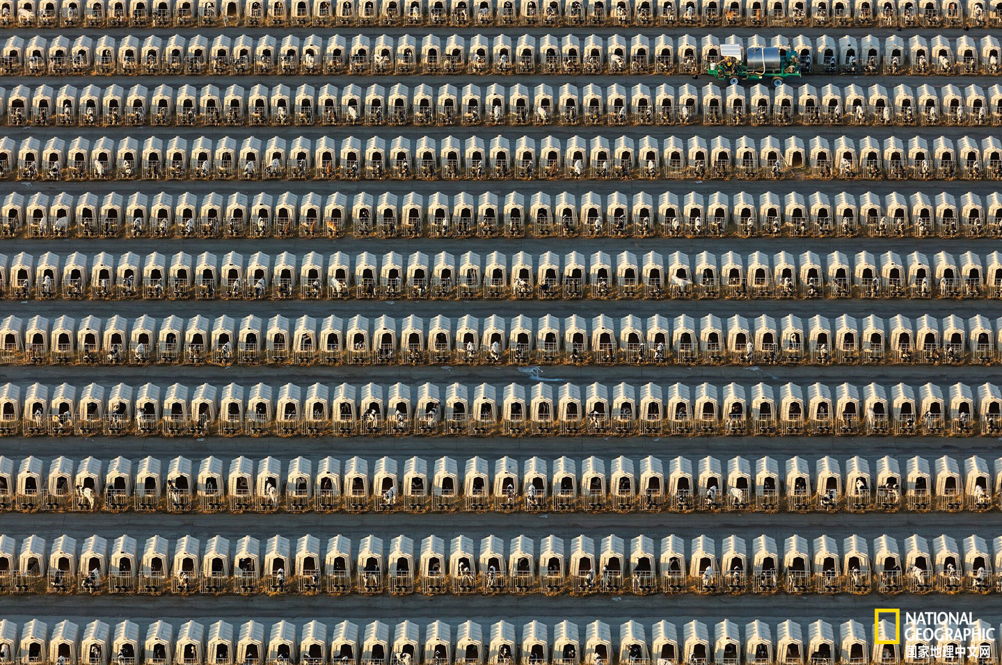 18ECEFC5-4FAC-4A69-997D-B1BA04320CAF.jpeg