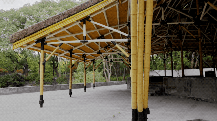 IMG_2038.GIF