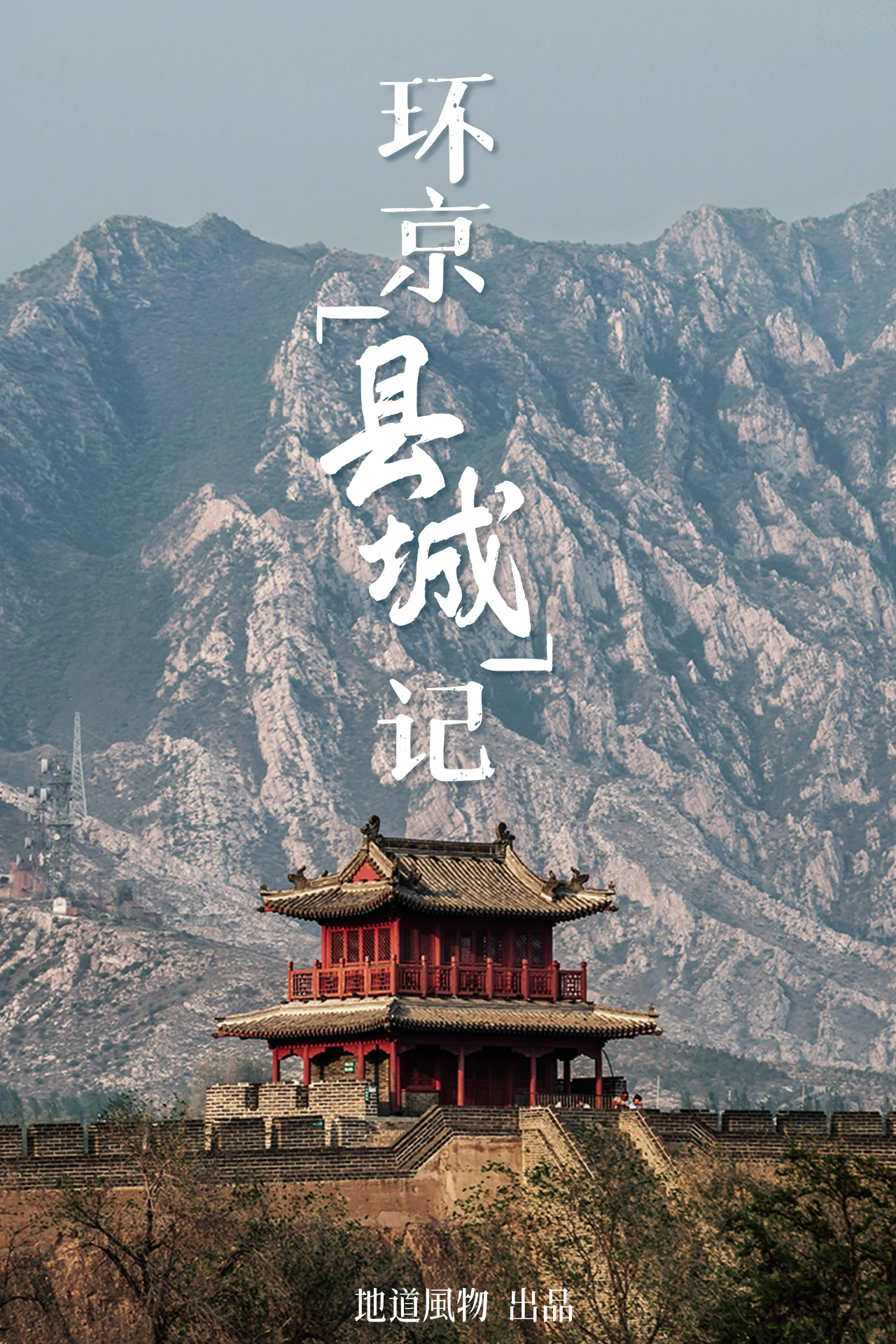 IMG_2246.PNG