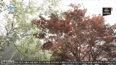 IMG_5863.GIF