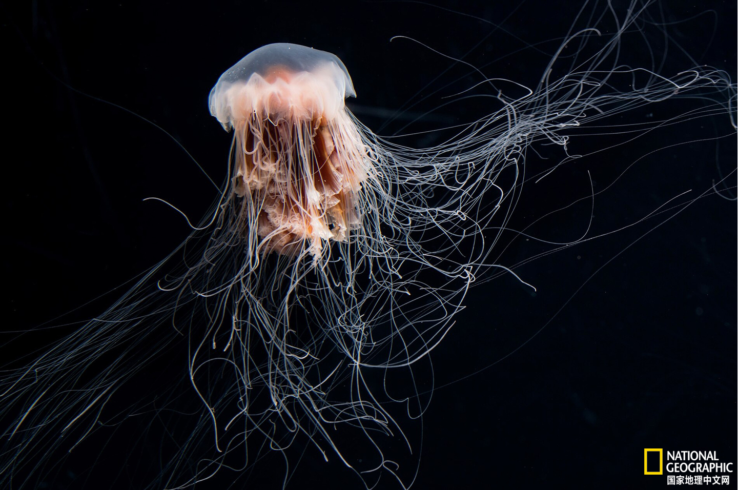 C52D1267-081B-4A4D-B02D-5BE08D486A65.jpeg