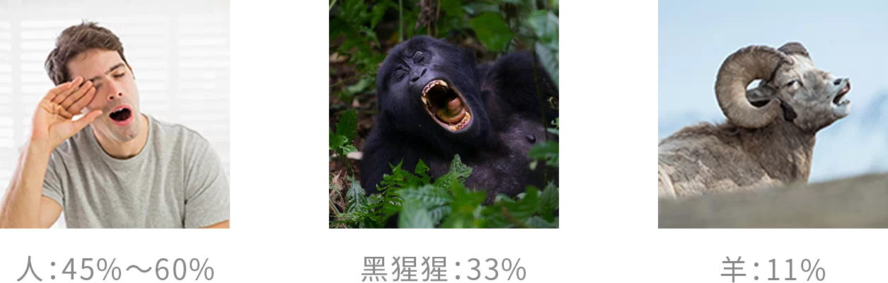 IMG_9854.PNG