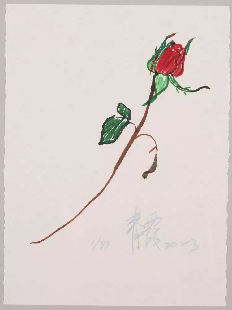 IMG_3638.PNG