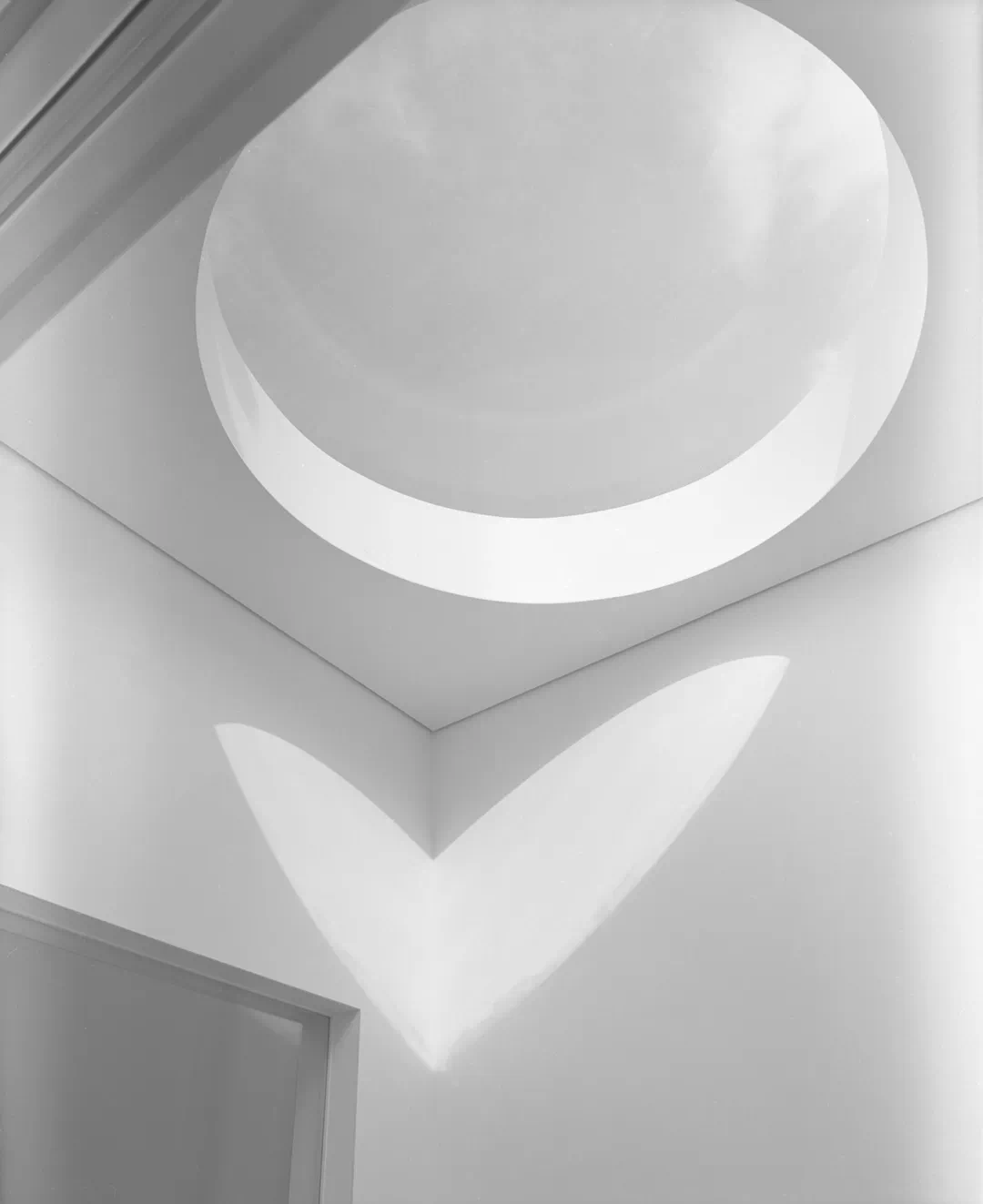 IMG_2067.PNG