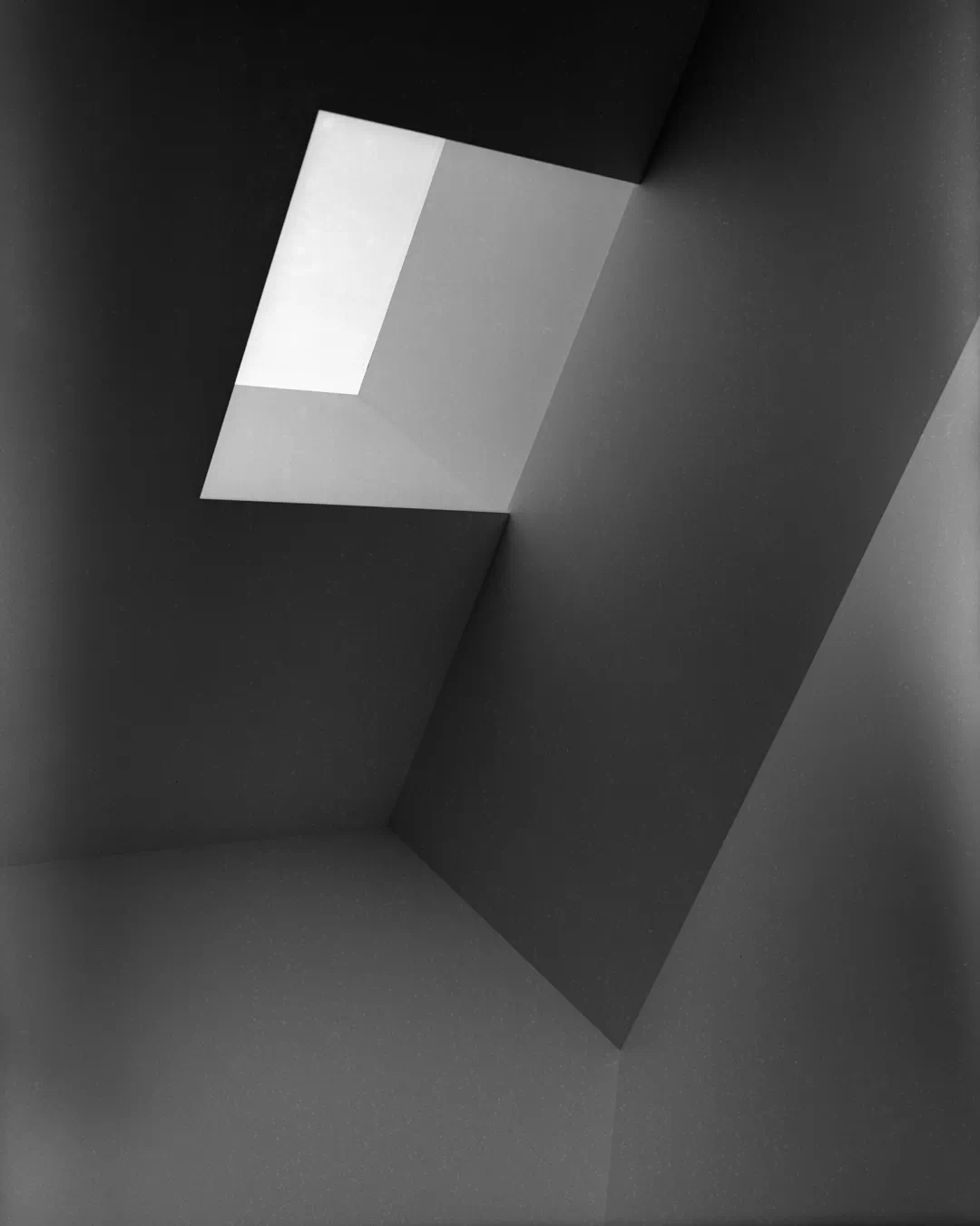 IMG_2069.PNG