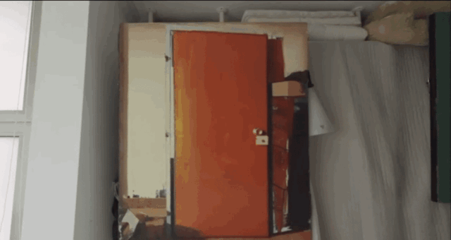 IMG_7298.GIF