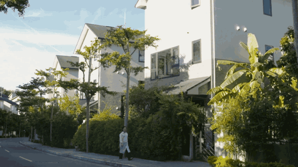 IMG_7326.GIF