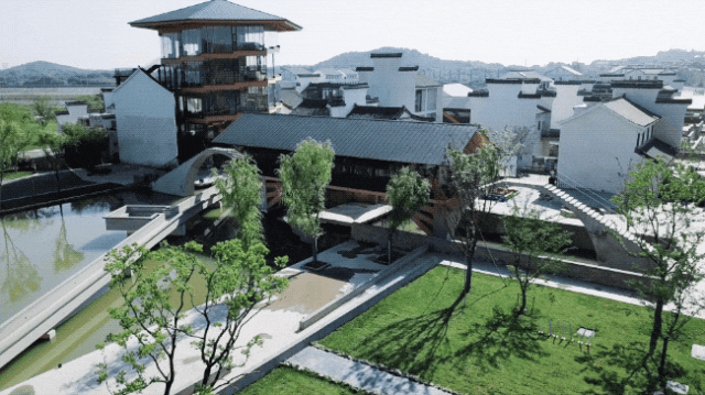 IMG_2036.GIF