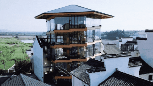 IMG_2067.GIF
