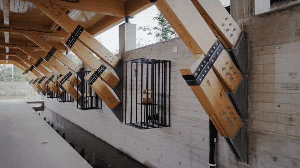 IMG_2079.GIF