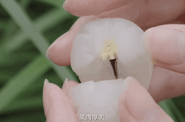 IMG_3897.GIF