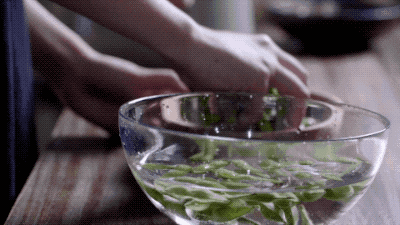 12.gif