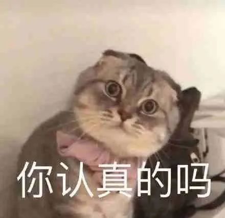 69d9fbdaaetype_jpeg_size_440_103_end.jpg