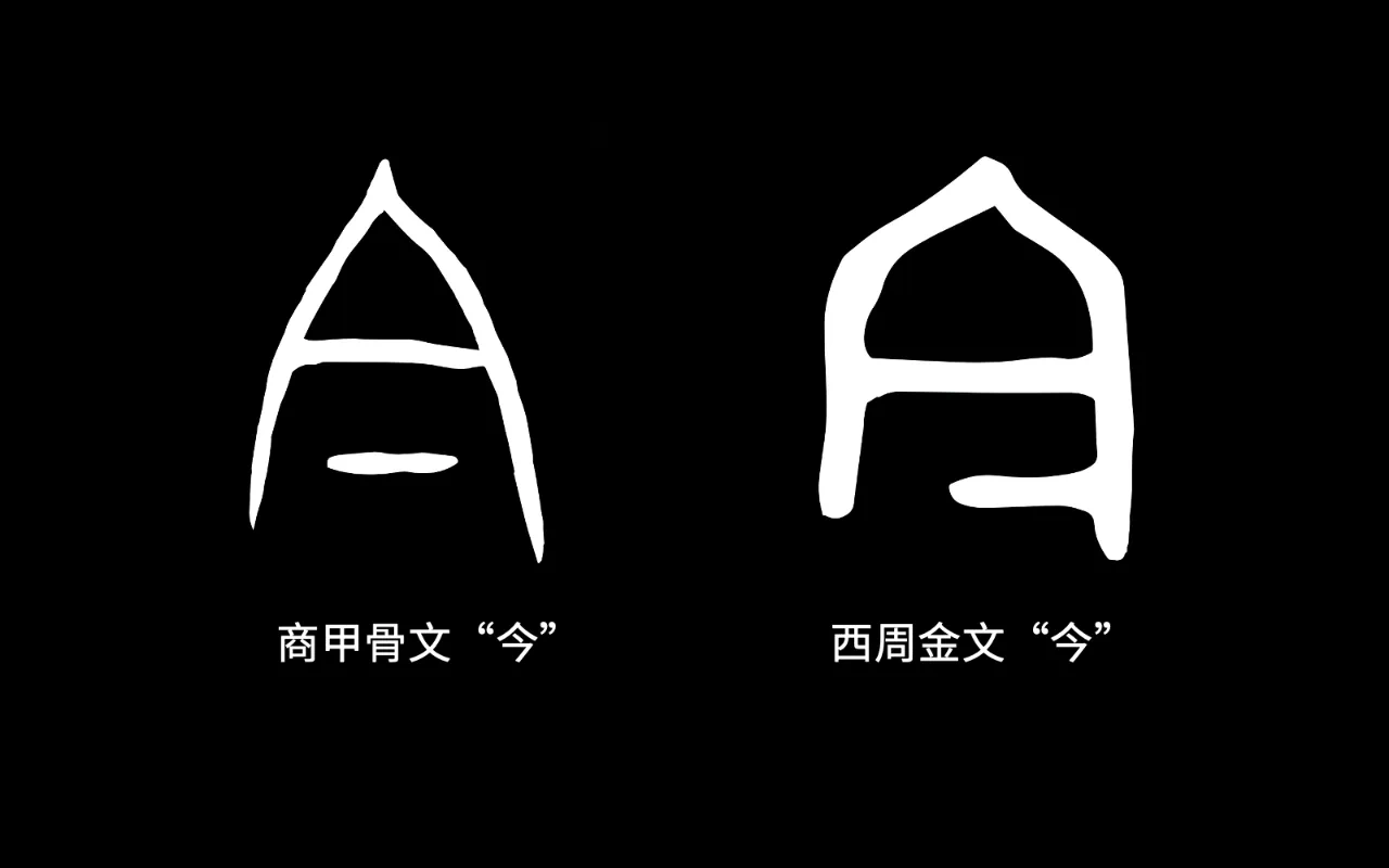 IMG_7056.PNG