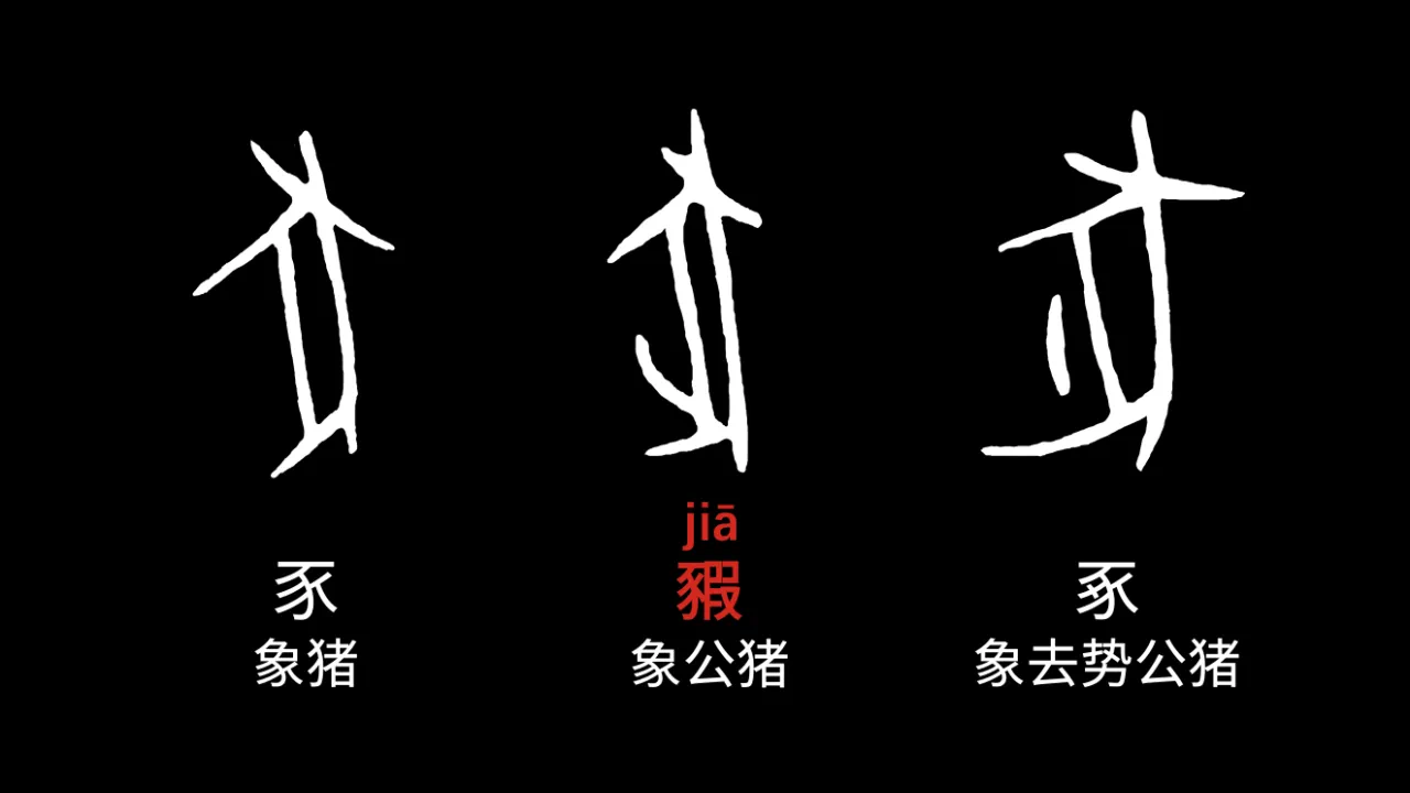 IMG_7064.PNG