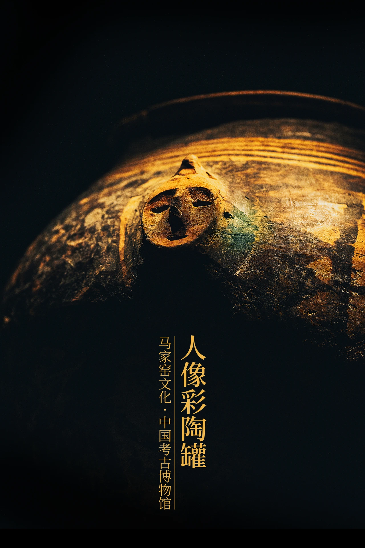 IMG_7310.PNG